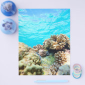 Korallenriff Flyer (Einzeln)