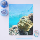 Korallenriff Flyer (Einzeln)