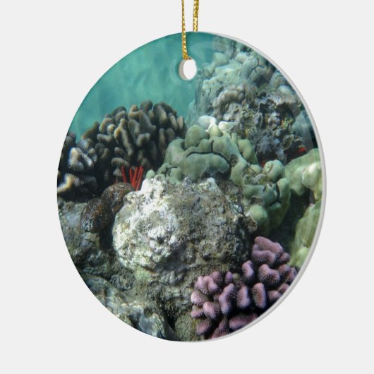 Korallenriff Keramik Ornament (Links)