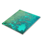 Korallenriff Keramik türkisfarbenes Meer Fliese (Seite)