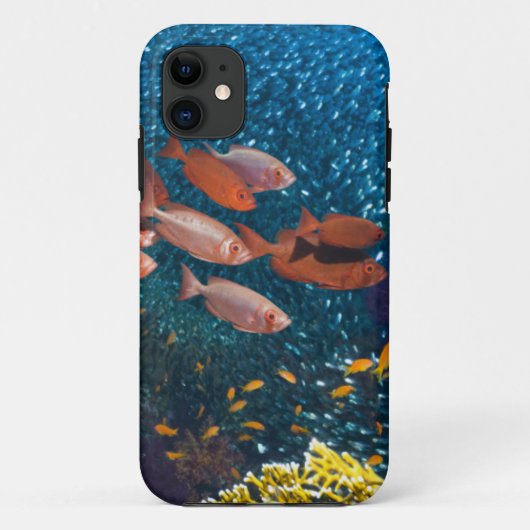 Korallenriff-Landschaft | Großauge oder Case-Mate iPhone Hülle (Rückseite)