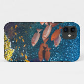Korallenriff-Landschaft | Großauge oder Case-Mate iPhone Hülle (Rückseite (Horizontal))