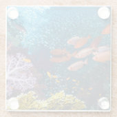 Korallenriff-Landschaft | Großauge oder Glasuntersetzer (Rückseite)