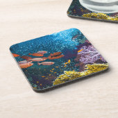 Korallenriff-Landschaft | Großauge oder Untersetzer (Linke Seite)