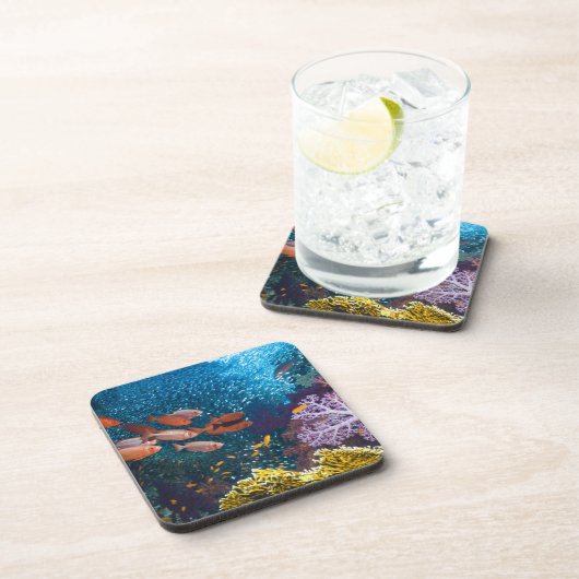 Korallenriff-Landschaft | Großauge oder Untersetzer (Rechte Seite)