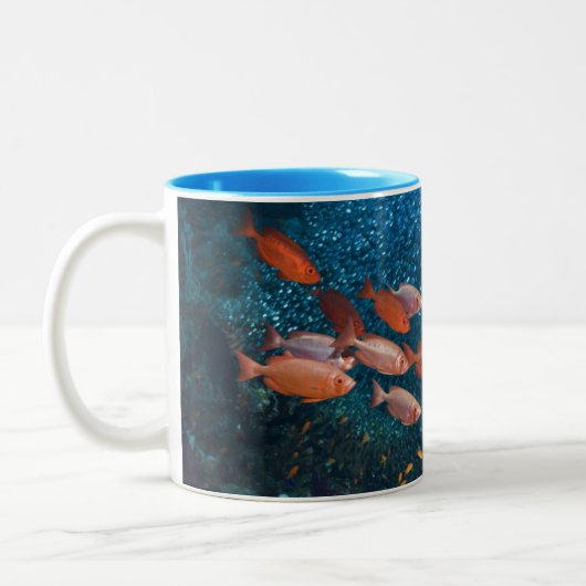 Korallenriff-Landschaft | Großauge oder Zweifarbige Tasse (Links)