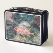 Korallenriff Longspine Squirrelfish Silvery Red Metall Brotdose (Rückseite)