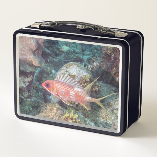 Korallenriff Longspine Squirrelfish Silvery Red Metall Brotdose (Rückseite)