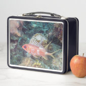 Korallenriff Longspine Squirrelfish Silvery Red Metall Brotdose (Beispiel)