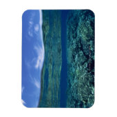 Korallenriff Magnet (Vertikal)