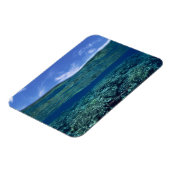 Korallenriff Magnet (Linke Seite)