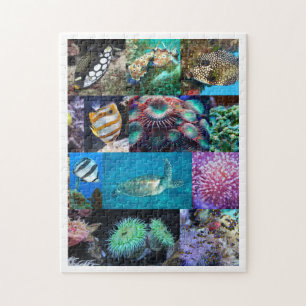 Korallenriff-Meeresfische-Tiere, Alter 8, 252 Teil Puzzle