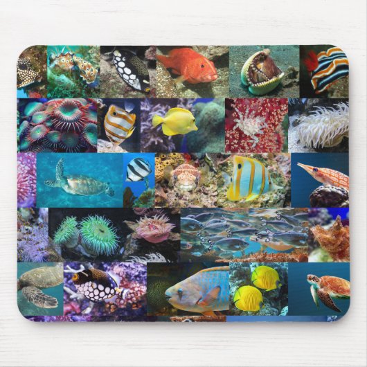 Korallenriff Meereslebewesen Fische Tiere Naturlie Mousepad (Vorne)