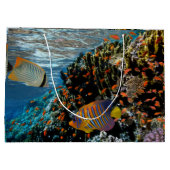 Korallenriff mit Feuerkorallen und exotischen Fisc Große Geschenktüte (Rückseite)