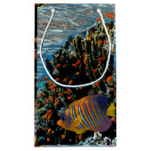 Korallenriff mit Feuerkorallen und exotischen Fisc Kleine Geschenktüte (Rückseite)
