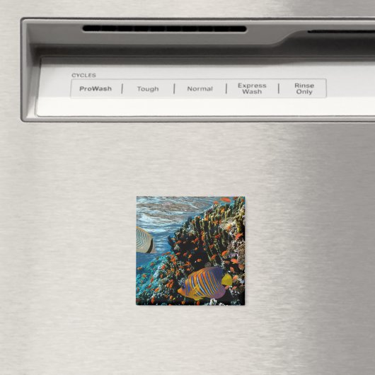 Korallenriff mit Feuerkorallen und exotischen Fisc Magnet (In Situ (Geschirrspüler))