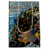 Korallenriff mit Feuerkorallen und exotischen Fisc Mittlere Geschenktüte (Rückseite)