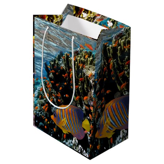 Korallenriff mit Feuerkorallen und exotischen Fisc Mittlere Geschenktüte (Rückseite Schrägansicht)