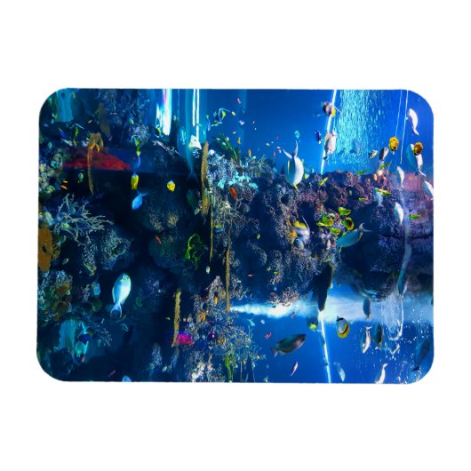 Korallenriff mit Fischen Magnet (Horizontal)
