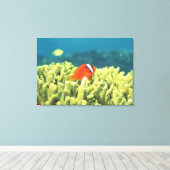 Korallenriff mit tropischen Fischen Leinwanddruck (Insitu (Holzboden))