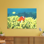 Korallenriff mit tropischen Fischen Leinwanddruck (Insitu (Wohnzimmer))