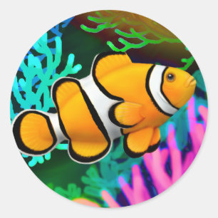 Korallenriff Percula Clown Anenome Fish Sticker