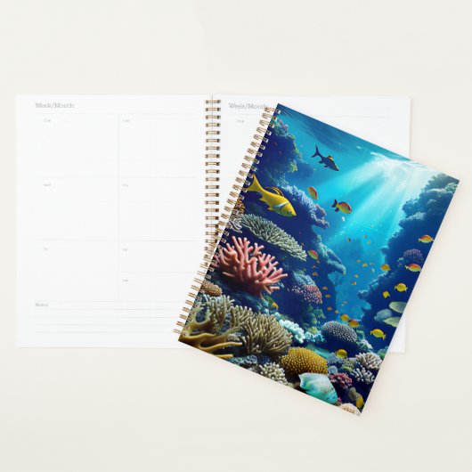 Korallenriff Planer (Anzeige)