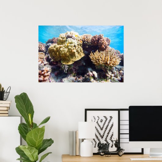 Korallenriff Poster (Heimbüro)