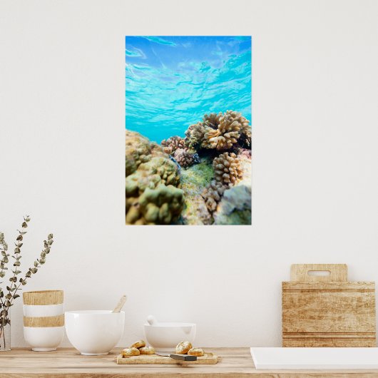 Korallenriff Poster (Küche)