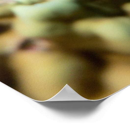 Korallenriff Poster (Ecke)