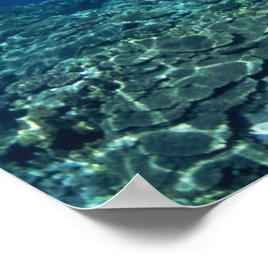 Korallenriff Poster (Ecke)