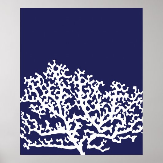 Korallenriff Poster (Vorne)