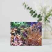 Korallenriff Postkarte (Stehend Vorderseite)