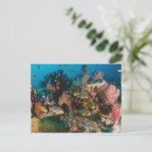 Korallenriff-Postkarte Postkarte (Stehend Vorderseite)
