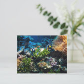 Korallenriff-Postkarte Postkarte (Stehend Vorderseite)