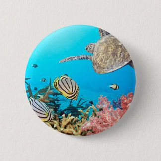 Korallenriff-Schildkröte Naturescape Button