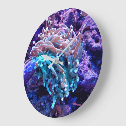 Korallenriff-Seeanenomuhr Große Wanduhr (Winkel)