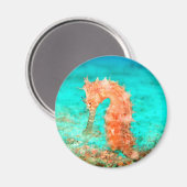 Korallenriff Seepferd tropischer Ozean Magnet (Vorderseite/Rückseite)