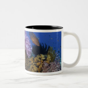 Korallenriff, uderwater Ansicht Zweifarbige Tasse