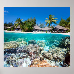 Korallenriff und ein tropisches Resort Poster