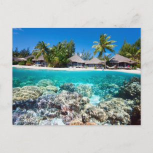 Korallenriff und ein tropisches Resort Postkarte