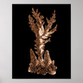 Korallenriff und Seeschifffahrt Poster (Vorne)