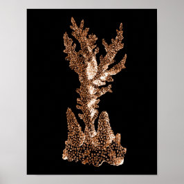 Korallenriff und Seeschifffahrt Poster