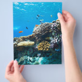 Korallenriff unter Wasser Flyer (Hand)