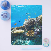 Korallenriff unter Wasser Flyer (Einzeln)