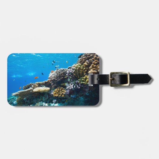 Korallenriff unter Wasser Gepäckanhänger (Vorderseite horizontal)