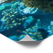 Korallenriff unter Wasser Poster (Ecke)