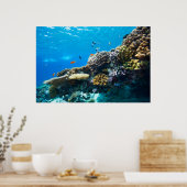 Korallenriff unter Wasser Poster (Küche)