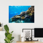 Korallenriff unter Wasser Poster (Heimbüro)