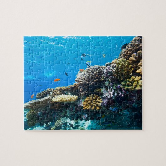 Korallenriff unter Wasser Puzzle (Horizontal)